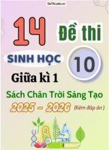 Tuyển tập 14 Đề thi giữa kì 1 năm học 2025-2026 môn Sinh học 10 CTST (Kèm đáp án)